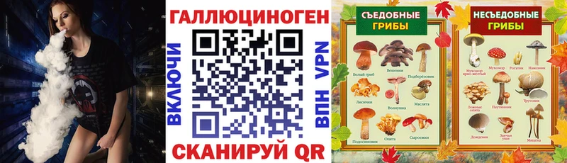 Псилоцибиновые грибы Psilocybine cubensis  Лосино-Петровский 