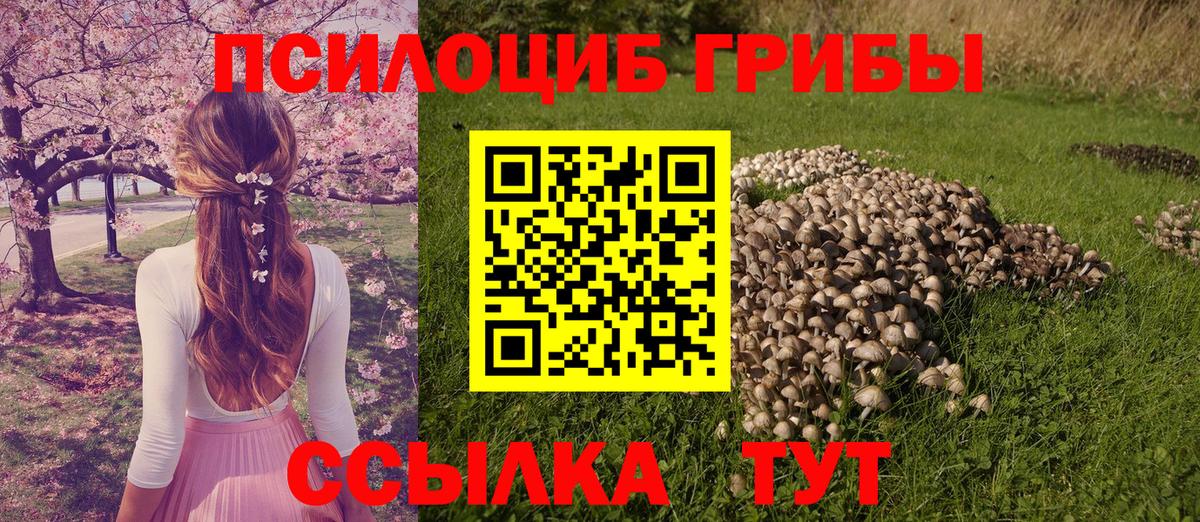 Псилоцибиновые грибы ЛСД Лосино-Петровский